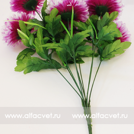 искусственные цветы хризантемы цвета фиолетовый с белым 15