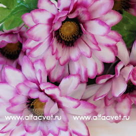 искусственные цветы ромашки цвета фиолетовый с белым 15