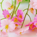 искусственные цветы букет гипсофил цвета темно-розовый 10